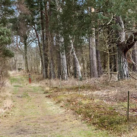 2315-stege-kongens-enge-15 Ferienhaus